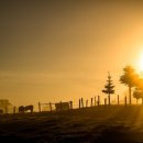 평화문구 이미지