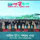 초록연꽃 이미지