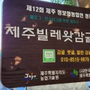 제주빌레왓감귤농장 네이버블로그