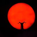 민속회관 이미지