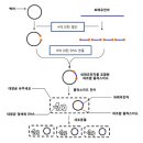 장별기출-14강 이미지