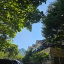 산수화길 | 상주펜션 // 속리산펜션 // 산수화펜션