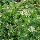 우리펜션민박 이미지