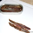 카르파쵸 네이버블로그