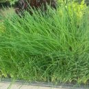 금촌농약사 이미지