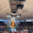 오도체육관 | 1차전 서울SK나이츠 VS 고양소노스카이거너스] ★ 위너스 응원 ㅁ소름 돋아!ㅣ서울잠실학생체육관 직관후기