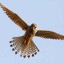 김천더학원 이미지