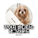 댕그라운드 - 청주시 청원구 | 산책 후 매일 쓰는 강아지산책티슈｜댕그라운드 펫 바디티슈, 강아지 물티슈 솔직후기