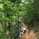 좌구산캠핑장 이미지