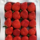 해랑농장 이미지