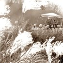 제일장의용품 이미지