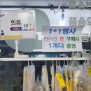 씨유펫속초설악점