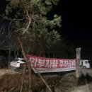 퍼피포레스트 이미지