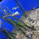 여수동초등학교 | 여수 ) 전라남도해양수산과학관 _과학관