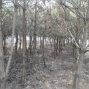 파주6리 경로당 이미지