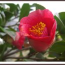 관동농장 이미지