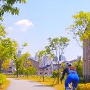 동화천자전거길 이미지