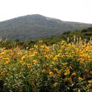 노랑고개 이미지