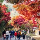 부부식당 이미지