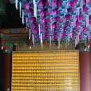 봉선사 - 1079 | 봉선사