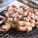 참곰장어 이미지