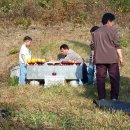 곡성묘천 이미지