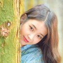 언 고기 이미지