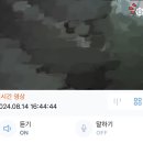 (주)이글루 | 보안 걱정없는 신생아 홈캠 ⎮ 이글루S3+ 장단점 + 소소한 팁
