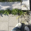 옥정제 | 사진속 추억을 찾으러