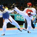 세종체육관(태권도) 이미지