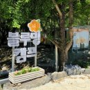 강원도 영월 블루밍캠핑장 방문후기! 계곡있음!