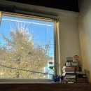 무괴아심 | <무괴아심> 후기