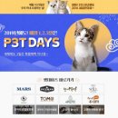 도그파파 이미지