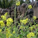 하은농원 이미지