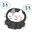 동대문엽기떡볶이 인동점 이미지