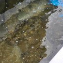 우리들횟집 이미지