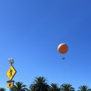 코스코마켓 이미지