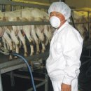 산양목장 이미지