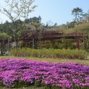 보성정원민박 이미지