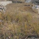 남해-293 이미지