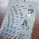 고래뱃속 | 필리핀 세부 여행 고래상어 오슬롭 모알보알 투어 준비물 일정 공유