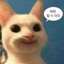 최화선 | 완~~전 12없어(24.12)