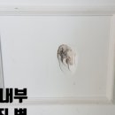 방배지게차