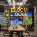 카페골목스크린골프 | 잠실골프레슨 프리미엄 골프아카데미 이룸골프아카데미 잠실센터 레슨방문후기