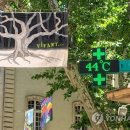 경신약국 이미지