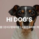 하이독스 이미지