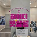 스파펫살롱 | 예쁜 미용보다 편안한 미용! 하이디 펫살롱 펫스테이션점 추천해요