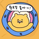 프린팅25유통기한 | 아쉬운 것 없이 무딘 사람인 척 미련 없이 보내놓고