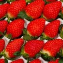 율이네농장 이미지