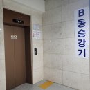 프롬니니